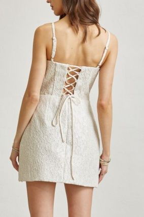 Silver/Nude Embroidery Dress