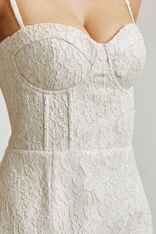 Silver/Nude Embroidery Dress