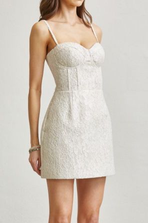 Silver/Nude Embroidery Dress